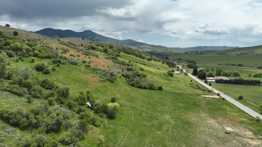 Expansive green hillside property featuring varied terrain, scattered brush, and a partial paved road frontage