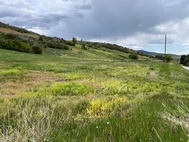Expansive green hillside property featuring varied terrain, natural foliage, and distant mountain forms