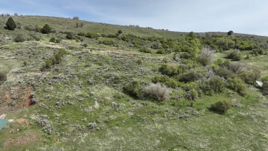 Expansive hillside terrain featuring varied natural vegetation, open grassy areas, and scattered trees