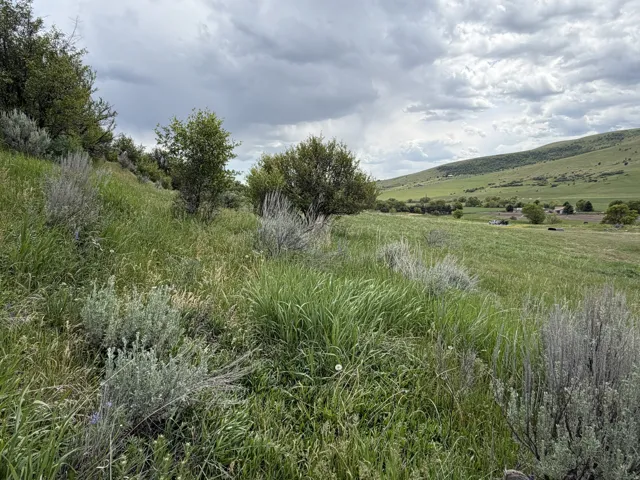 Expansive hillside landscape featuring varied natural vegetation, rolling green hills, and distant structures