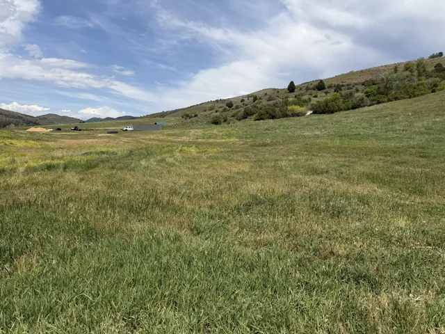 Expansive open land featuring natural grasses and distant rolling hills