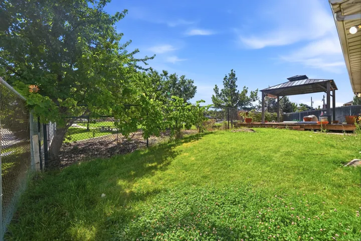 Expansive backyard featuring a lush lawn, mature trees, a chain-link fence, and a wooden deck with a gazebo