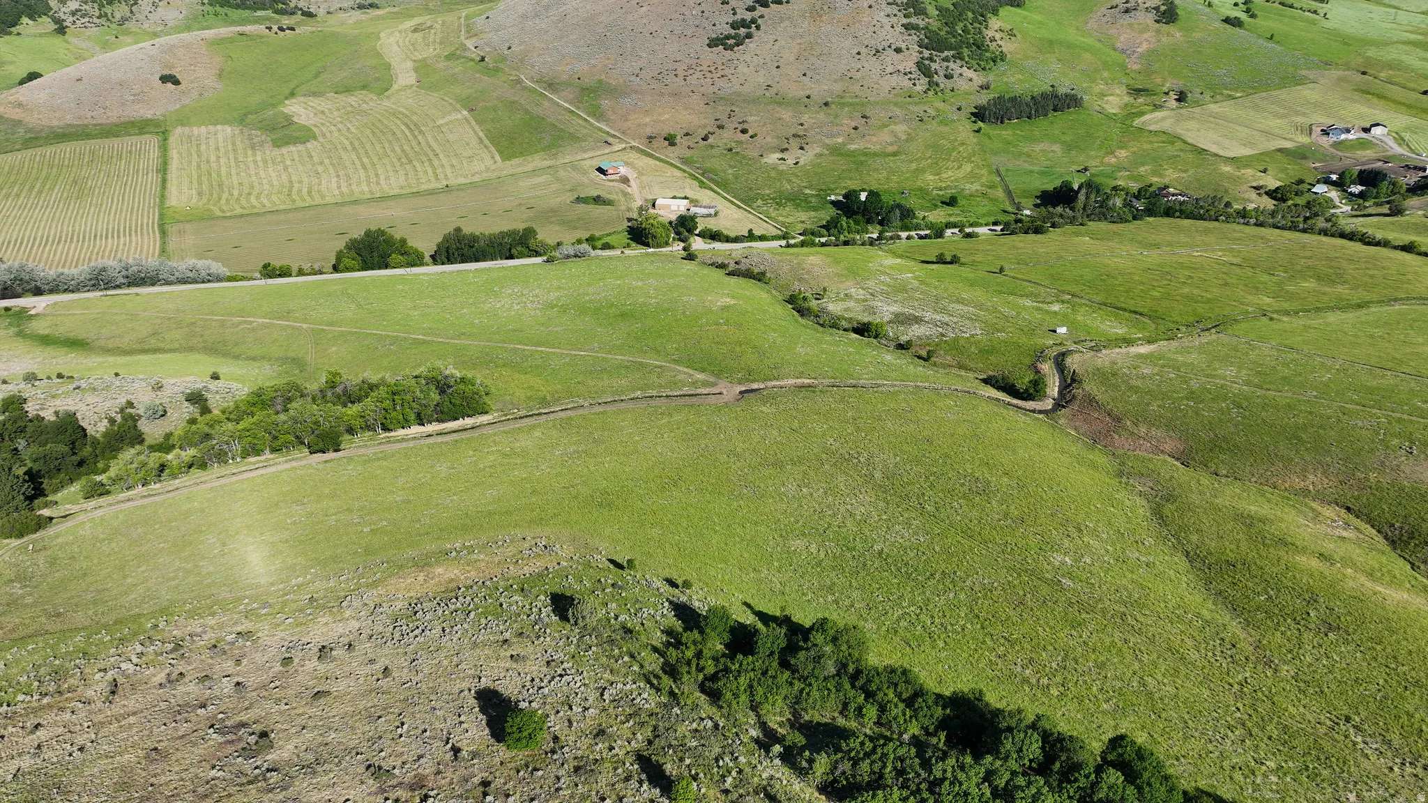 Expansive acreage featuring rolling green hills, scattered mature trees, a discernible road, and distant residential structures