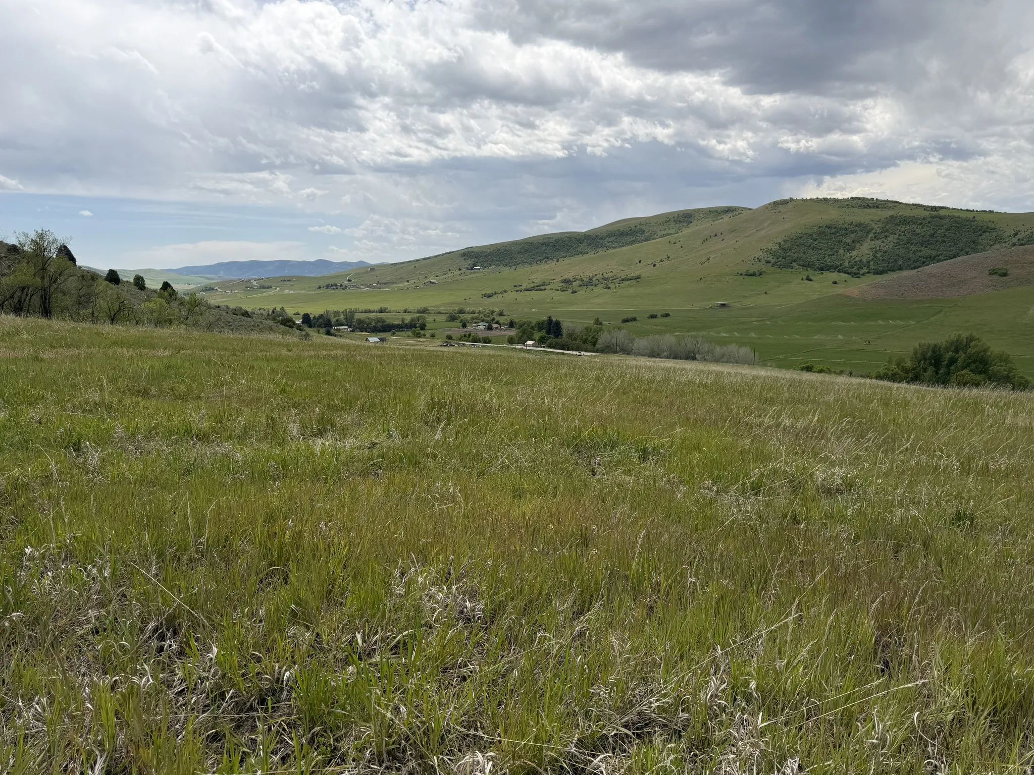 Expansive grassy landscape with rolling hills and distant structures