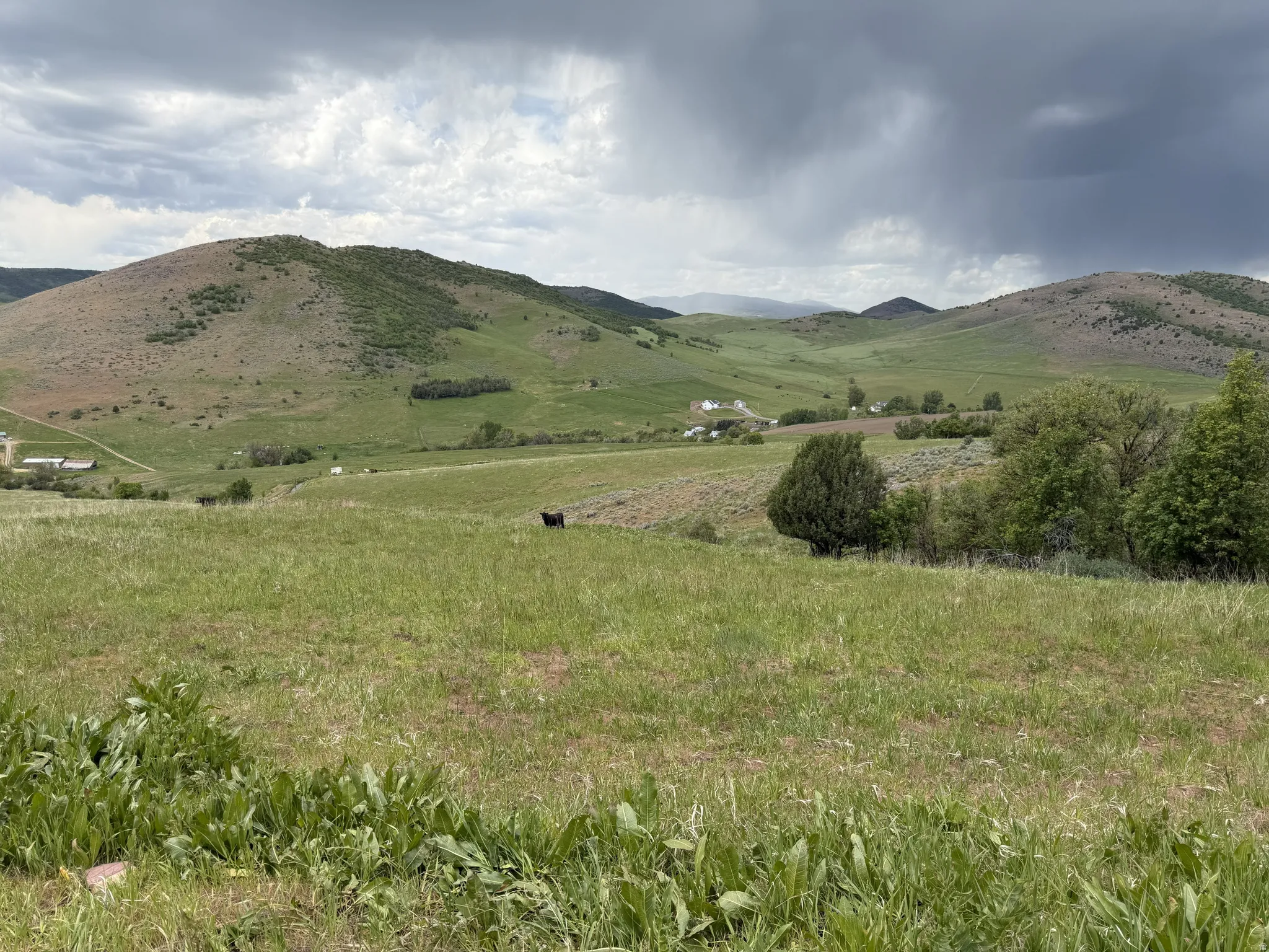 Expansive rolling terrain featuring natural green foliage and distant mountain formations