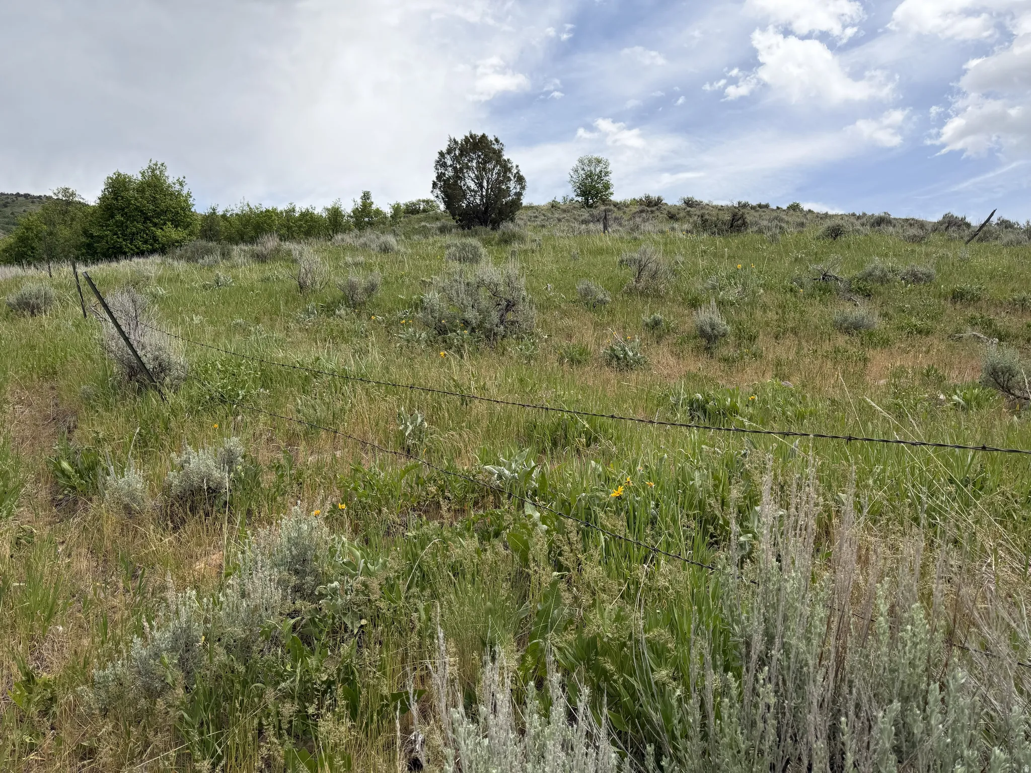 Expansive natural landscape featuring rolling terrain and varied flora