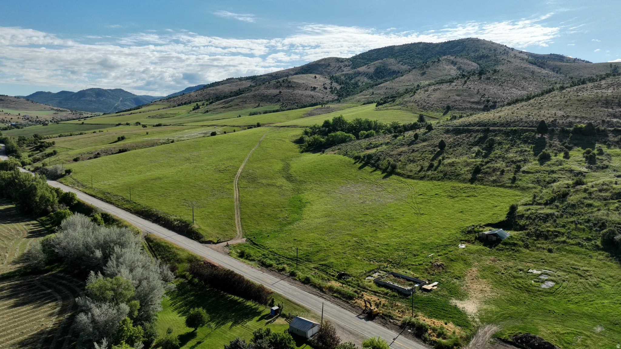 Expansive green pastures and distant mountains provide a picturesque backdrop