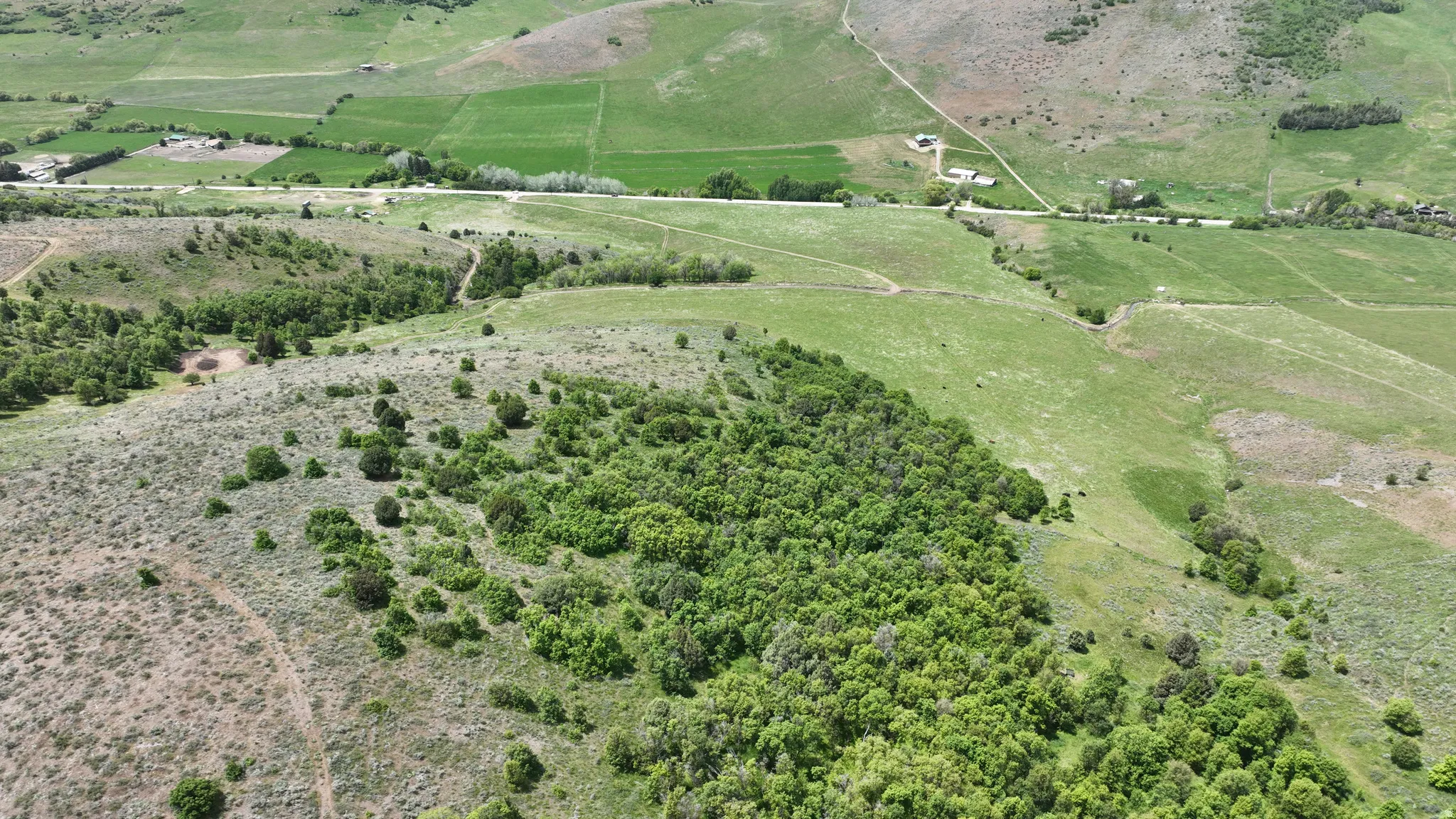 Expansive acreage featuring a mix of verdant woodlands and open grasslands