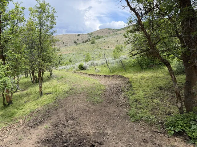 Rolling terrain with a dirt path, surrounded by abundant greenery and mature trees