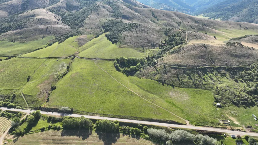 Expansive green land featuring rolling hills, mature trees, and a paved road bordering the property