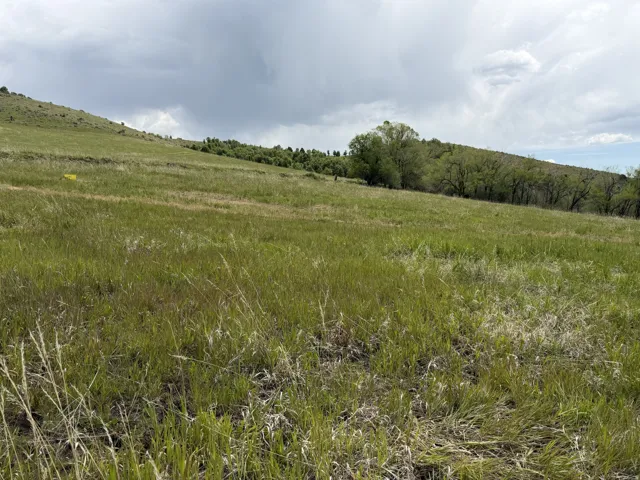 Expansive green hillside property featuring varied terrain