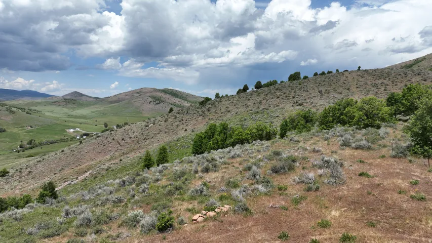 Expansive acreage featuring rolling hills and varied vegetation