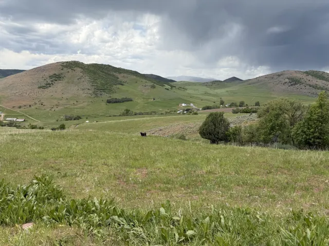 Expansive rolling terrain featuring natural green foliage and distant mountain formations