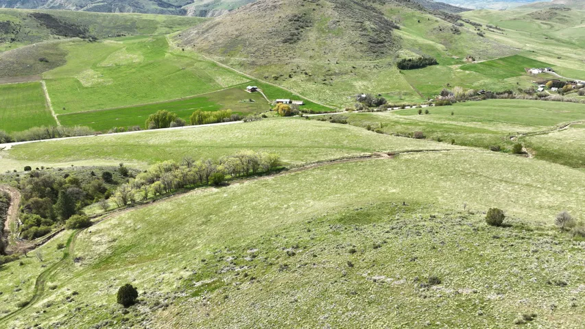 Expansive green landscape featuring rolling hills, various fields, and scattered trees