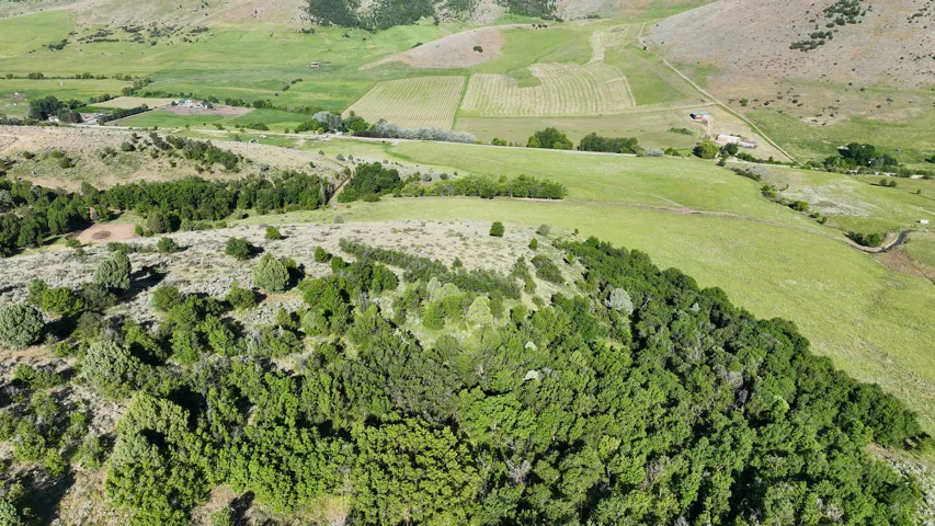 Expansive acreage featuring rolling green hills, natural wooded areas, and distant agricultural fields