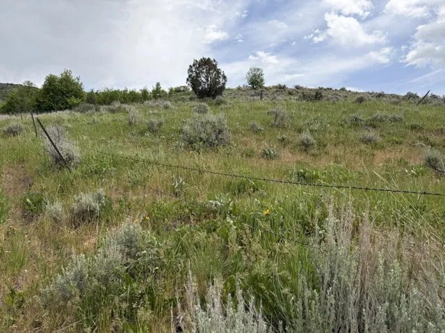 Expansive natural landscape featuring rolling terrain and varied flora