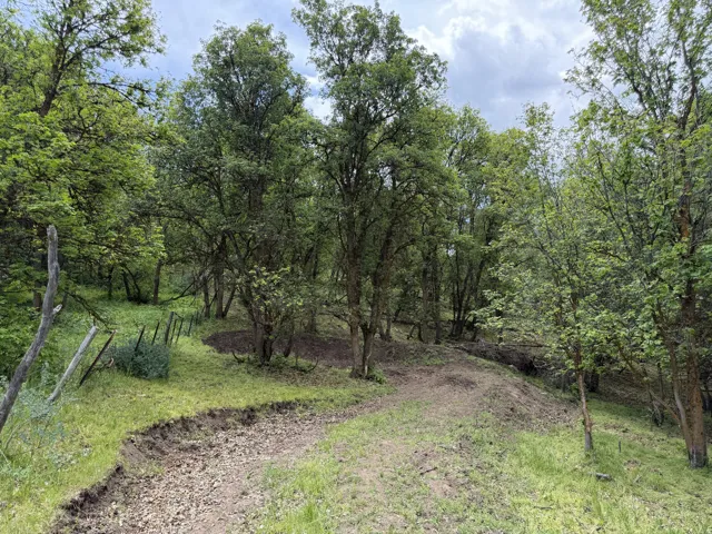 Naturally wooded property featuring mature trees, partial fencing, and varying terrain