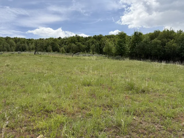 Expansive grassy field with a backdrop of mature deciduous trees and partial fencing