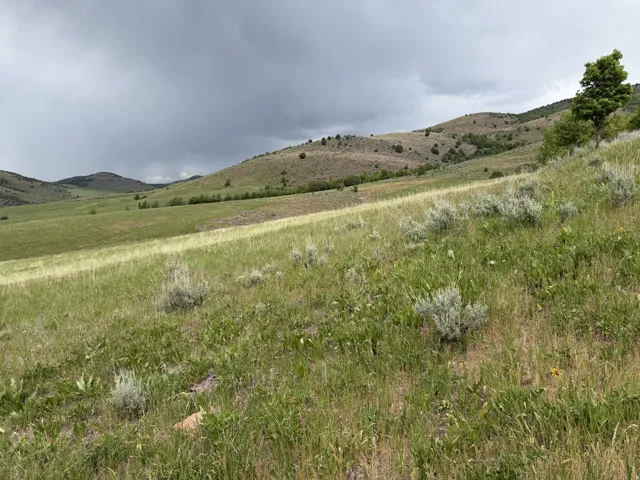 Expansive, sloping terrain featuring varied natural vegetation and distant rolling hills