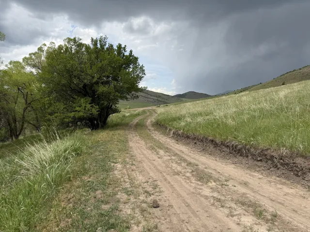 Expansive natural landscape featuring a winding dirt path, mature green trees, rolling hills, and abundant natural grasses