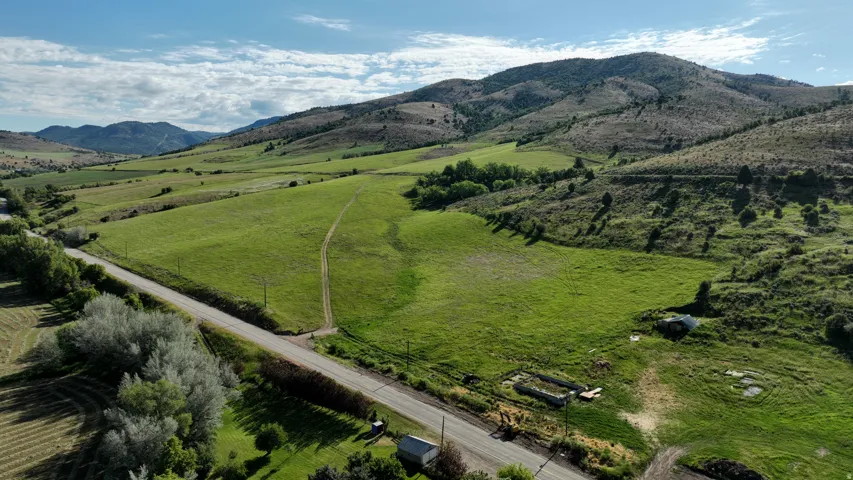 Expansive green pastures and distant mountains provide a picturesque backdrop