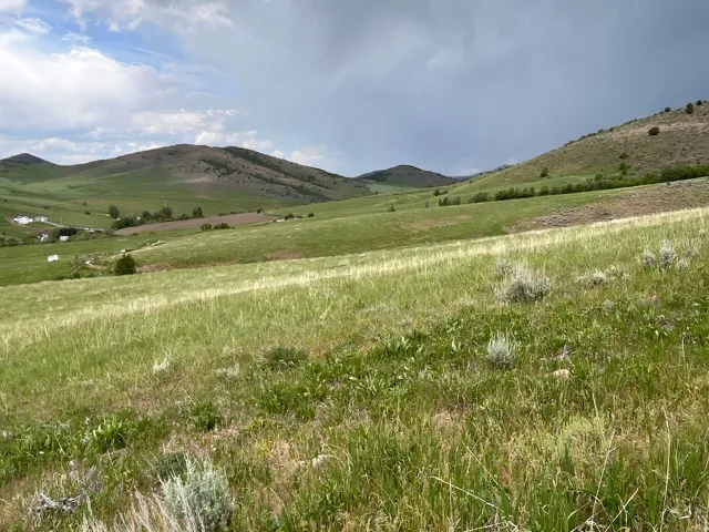Expansive green hills with varying topography