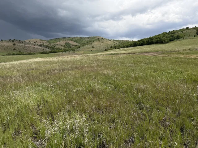 Expansive open land featuring rolling hills and natural vegetation