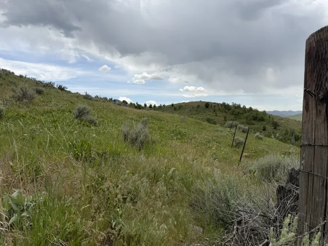 Rolling hills with natural vegetation and distant mountains
