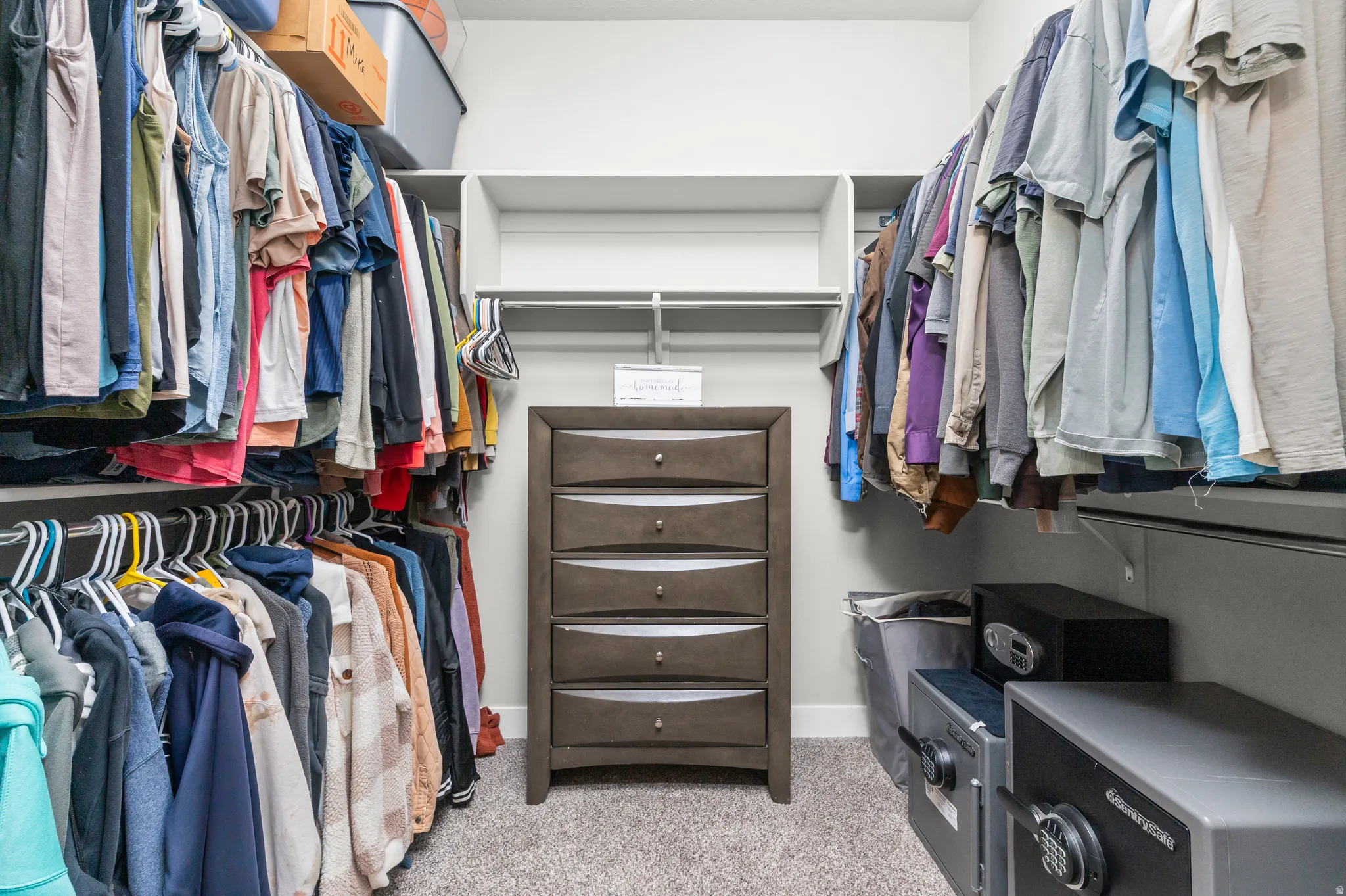 Walk-in closet featuring extensive built-in shelving, multiple hanging rods, light gray carpeting, and painted walls
