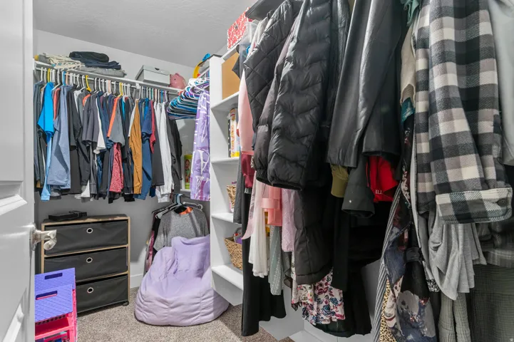 Walk-in closet featuring carpeted flooring, white walls, and built-in shelving