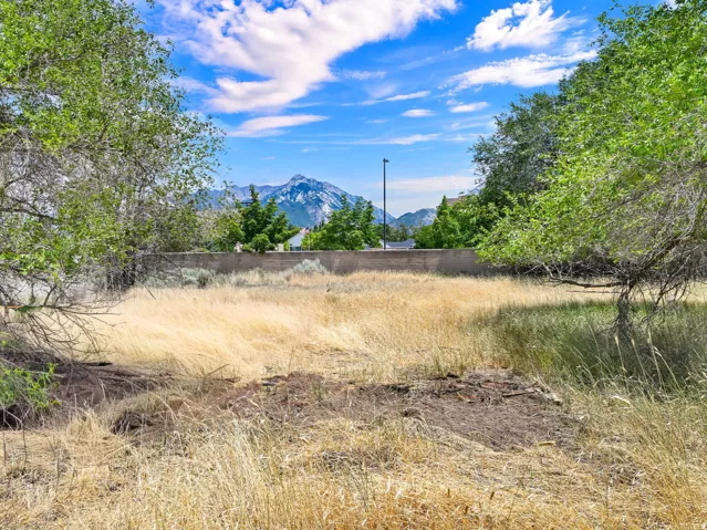 Expansive outdoor space featuring natural landscaping and mature trees, with a distant mountain backdrop