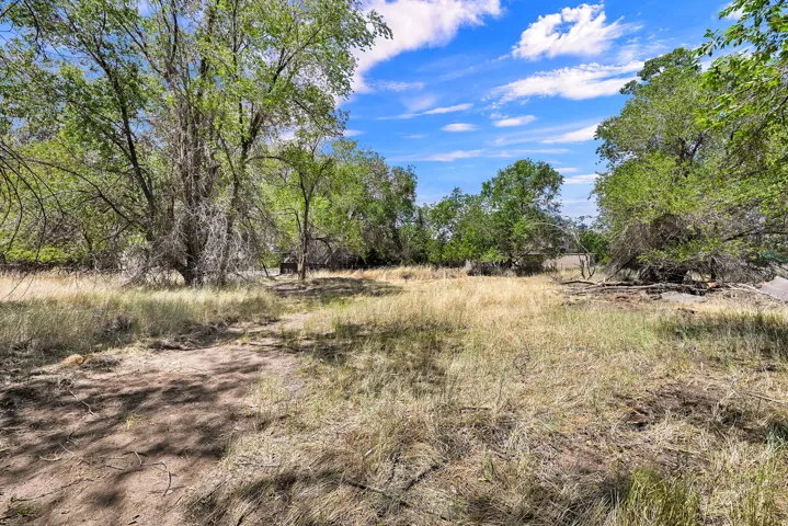 Expansive outdoor space featuring a large field with natural vegetation and mature trees