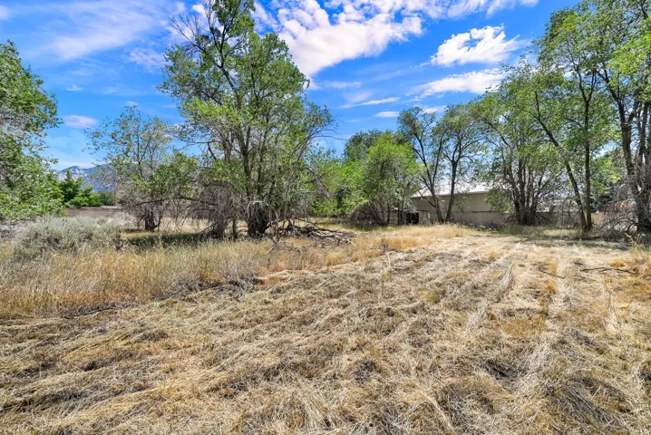 Expansive outdoor area featuring dry grasses, mature trees, and natural vegetation