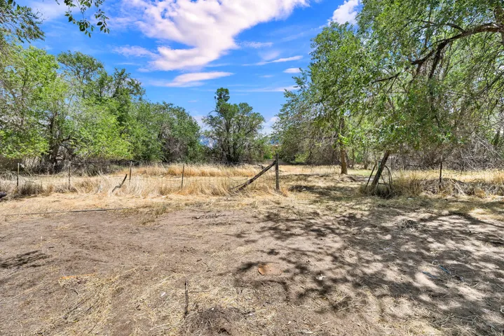 Expansive outdoor area featuring mature trees, partial fencing, and natural landscaping