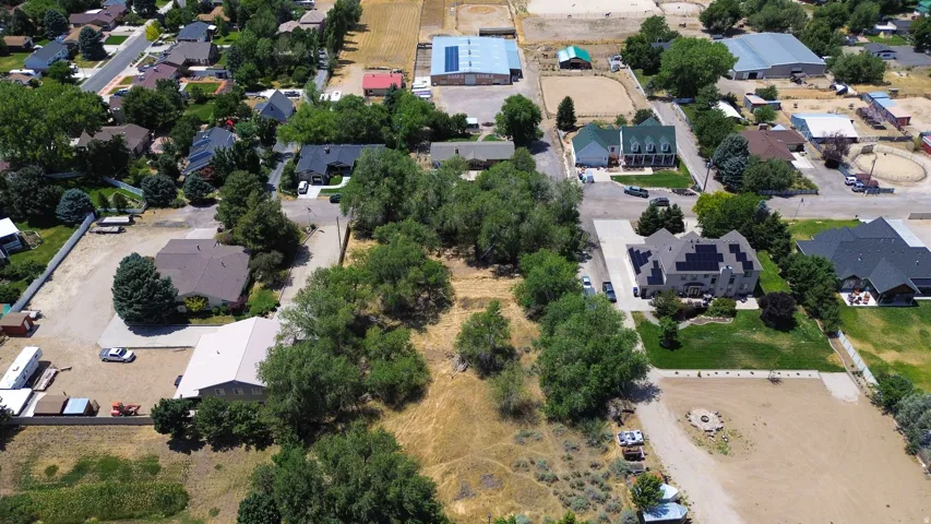 Expansive undeveloped lot featuring mature trees and surrounding residential properties