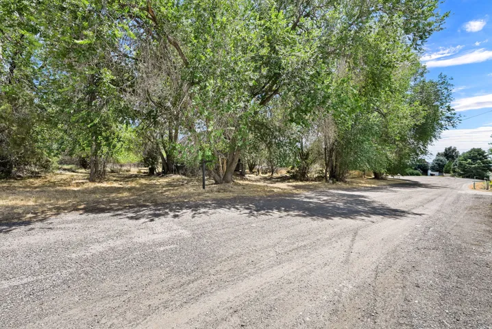 Gravel driveway entry surrounded by mature trees and natural landscaping