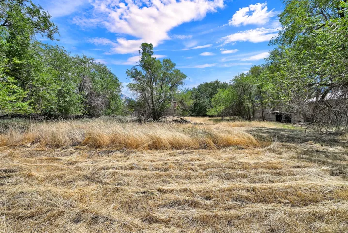 Expansive open land featuring natural grasses and mature trees