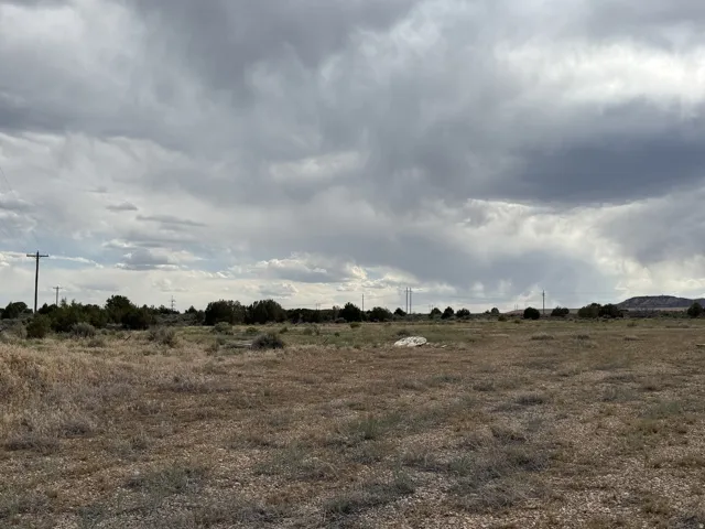 Expansive open terrain with natural ground cover, distant trees, and a clear sky