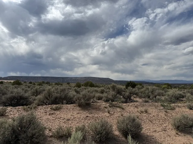 Expansive desert landscape with natural vegetation and distant mesa formations