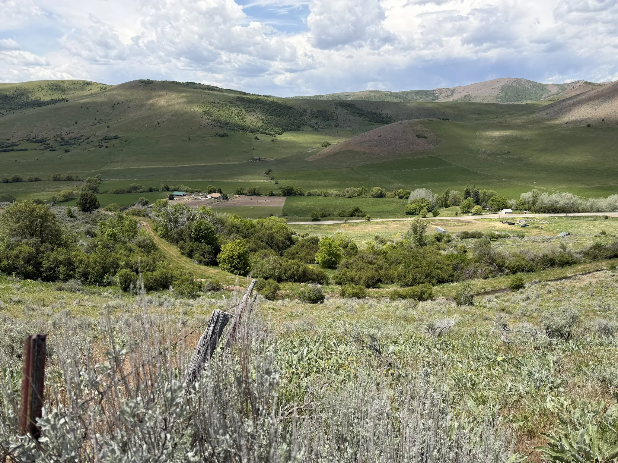 Expansive hillside property featuring mature foliage and distant mountain terrain