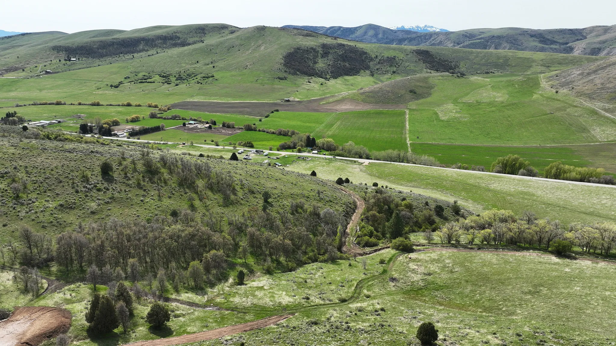 Expansive land parcel featuring rolling green hills, mature trees, open fields, and distant mountain peaks