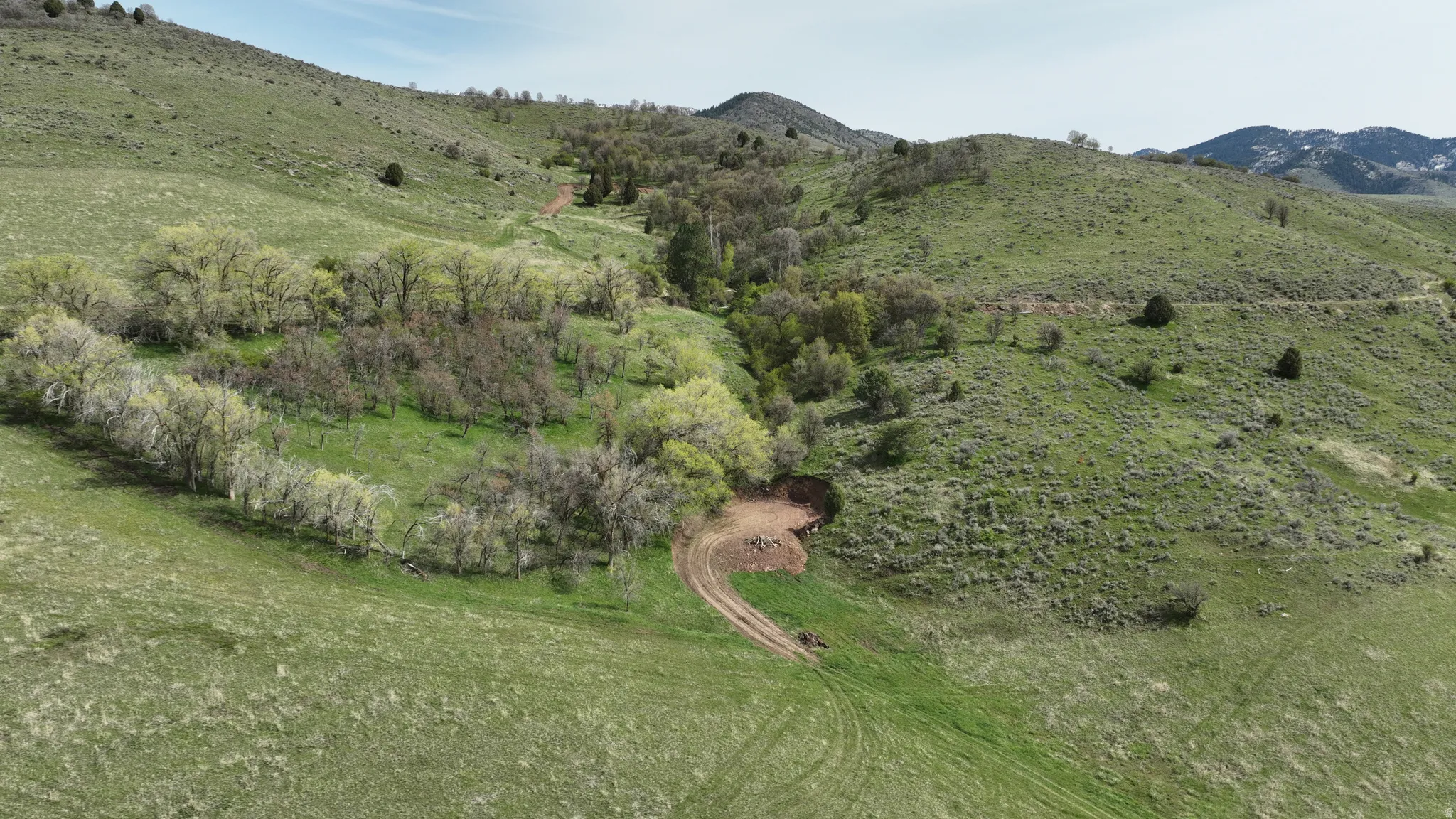 Expansive natural landscape featuring rolling hills and varied vegetation