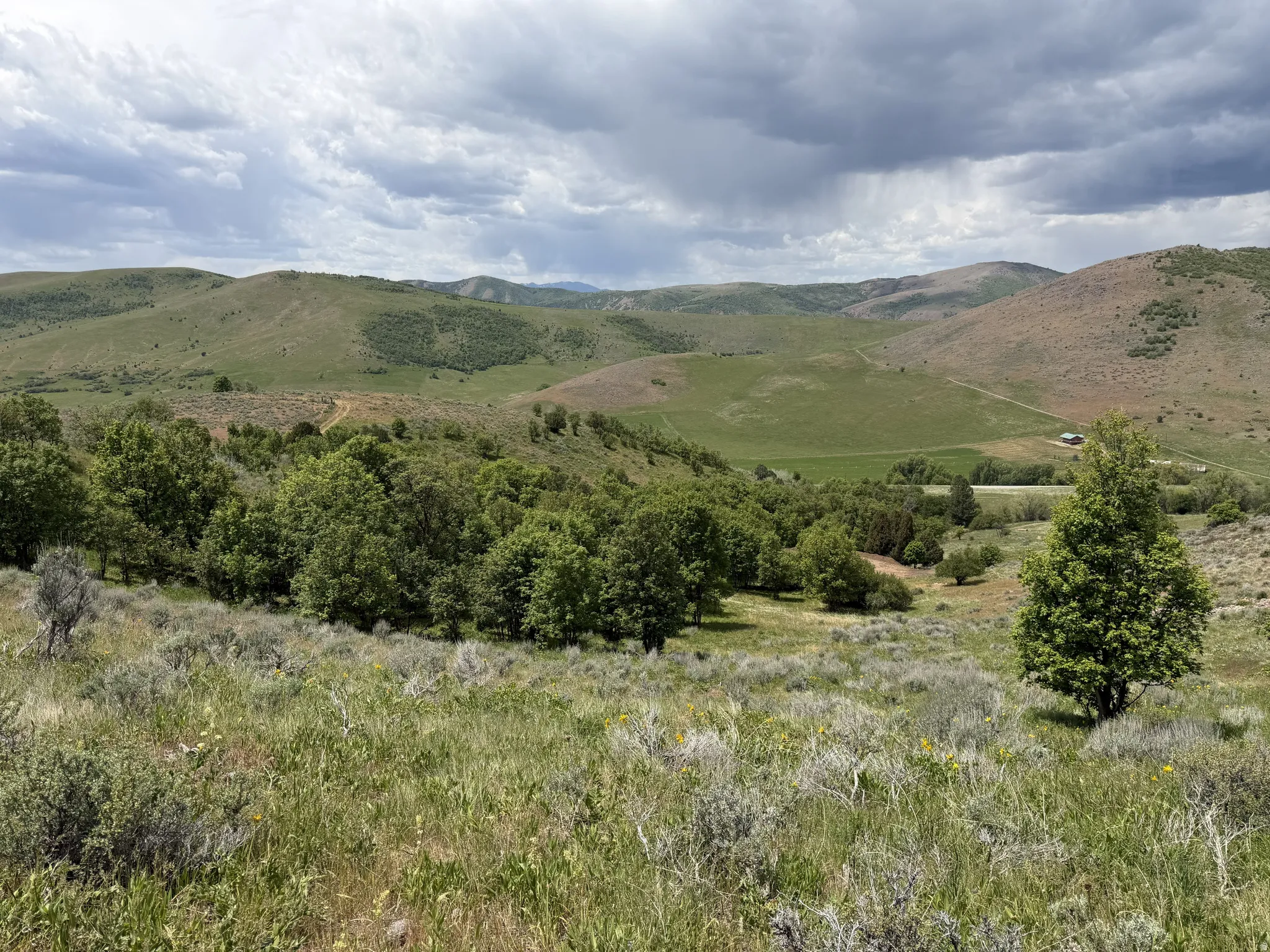 Expansive rural landscape featuring rolling hills and abundant natural vegetation