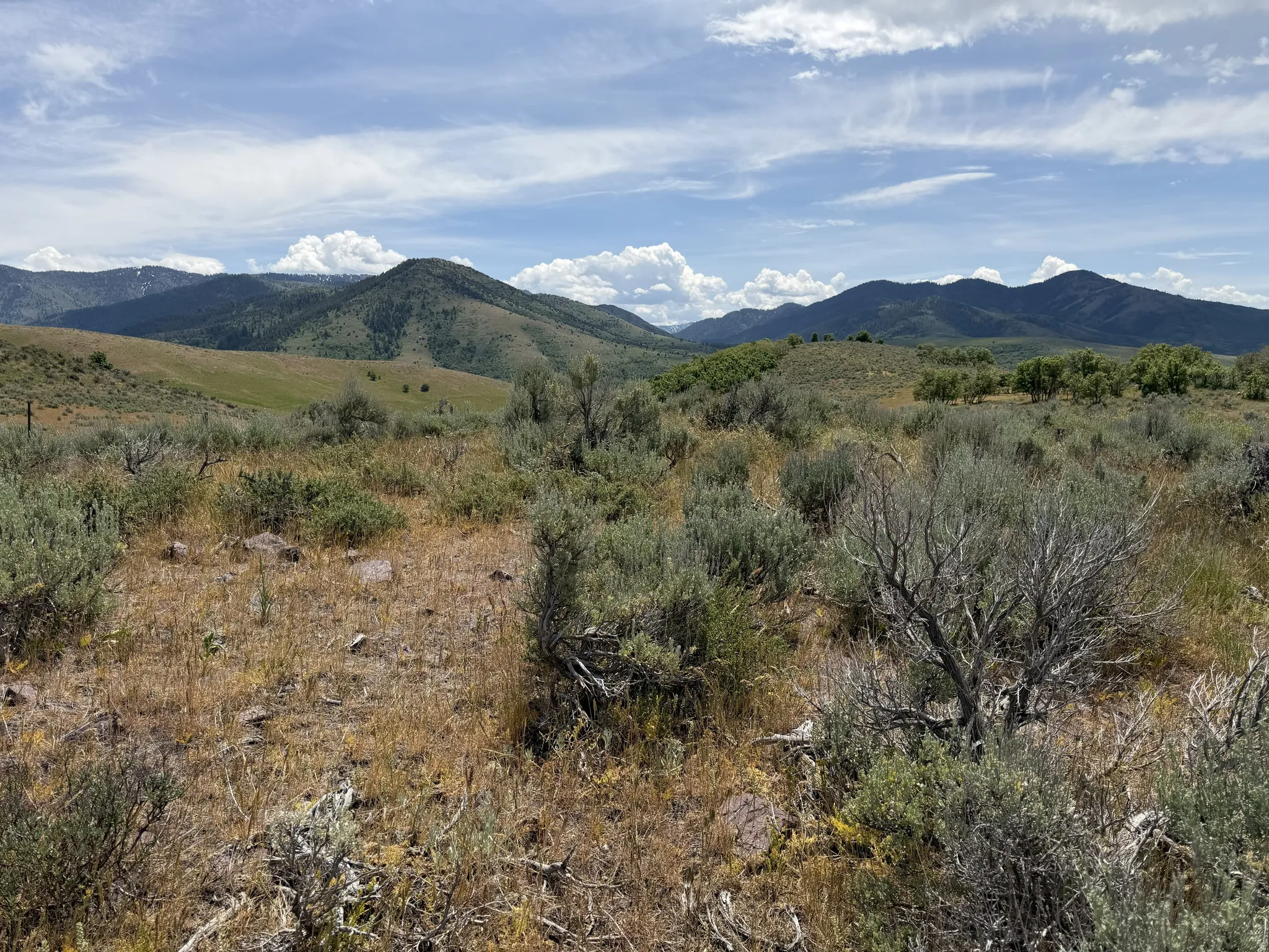 Expansive natural landscape featuring rolling hills and distant mountains under a blue sky with clouds