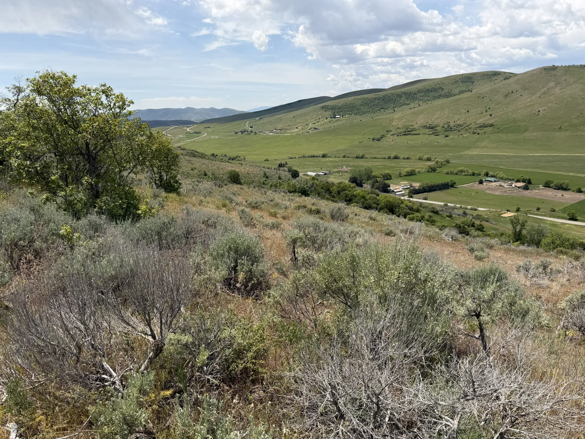 Expansive hillside lot featuring natural vegetation, distant green valleys, and rolling mountainous terrain