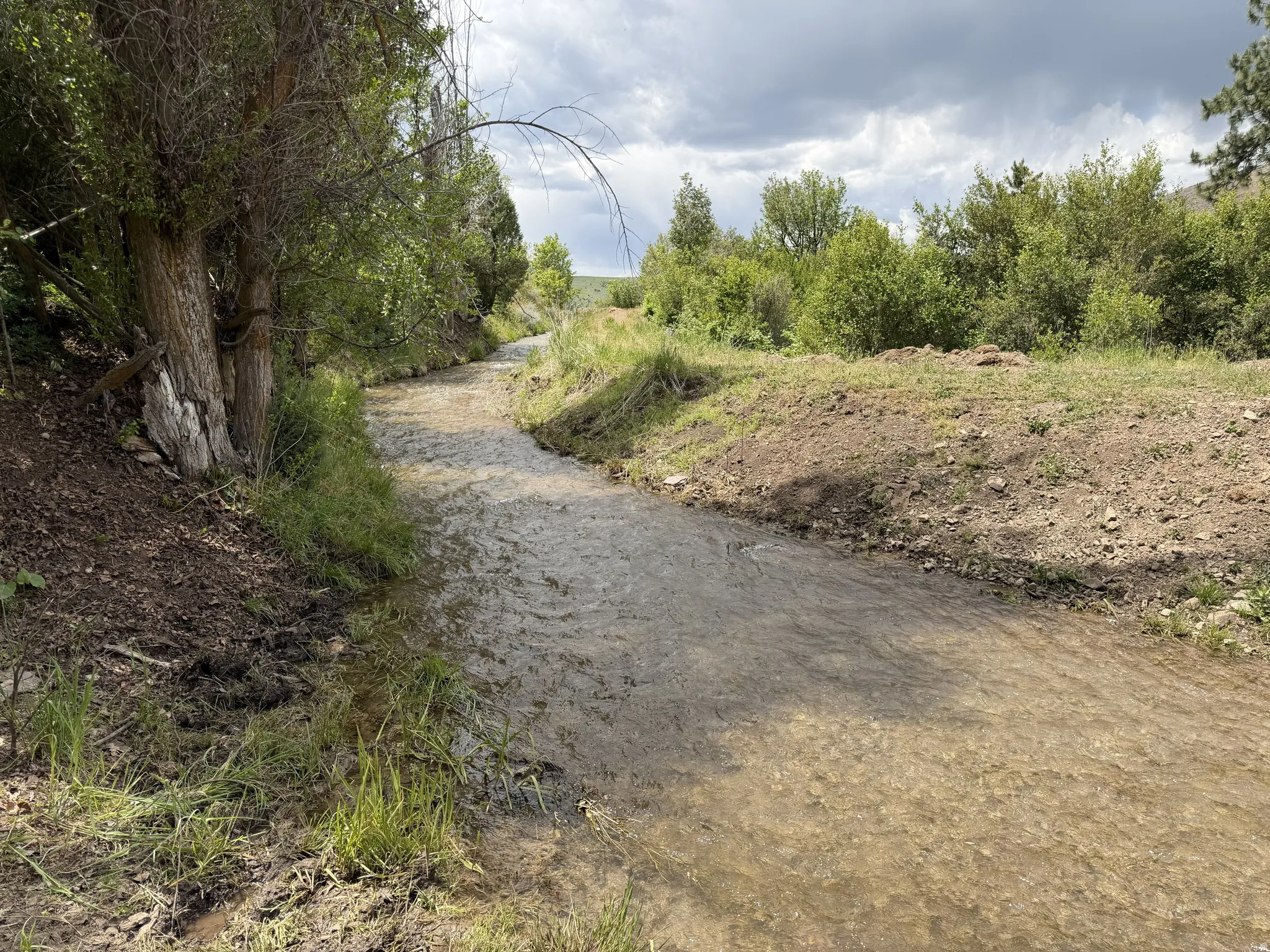 Water feature with natural banks and surrounding vegetation