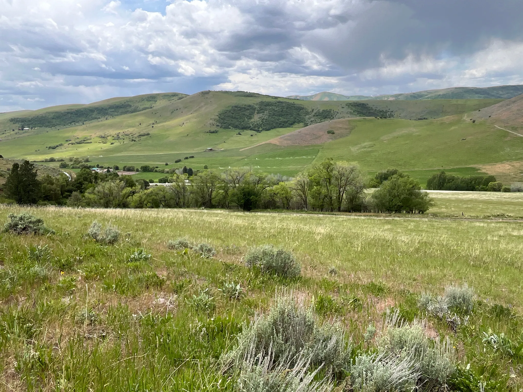 Expansive natural landscape featuring rolling green hills, scattered trees, and a distant valley
