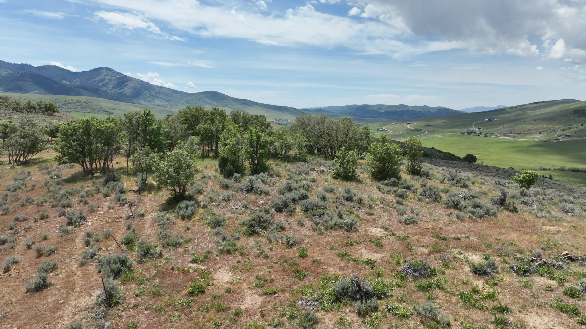 Expansive natural landscape featuring varied terrain with a mix of brush, trees, and distant mountains