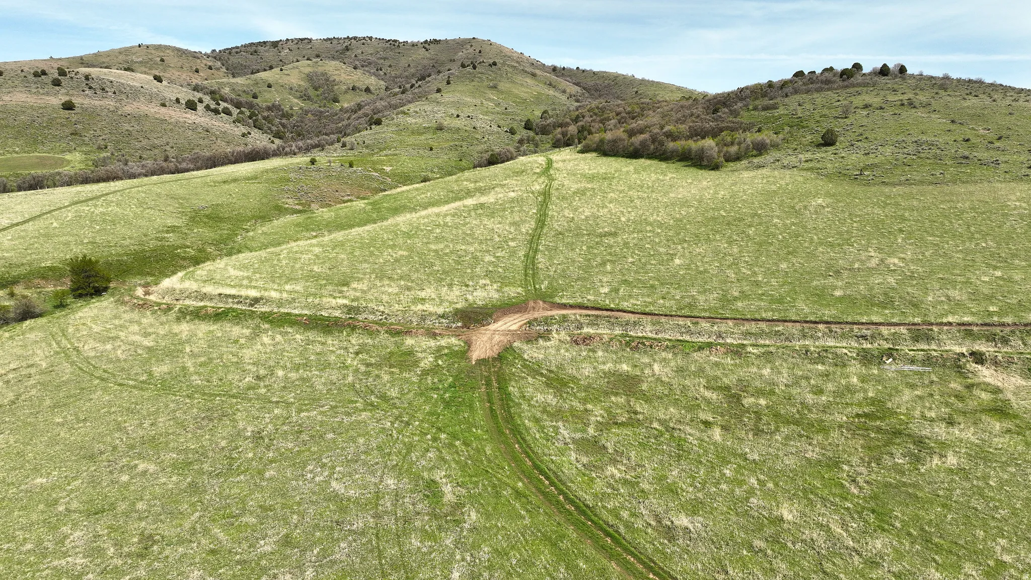 Expansive green hills with natural terrain, featuring varied grass coverage, scattered trees, and visible pathways