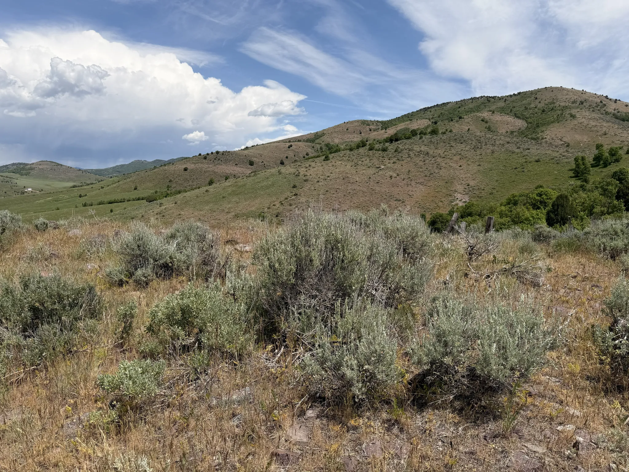 Expansive land parcel featuring natural shrubbery and varied ground cover, set against a backdrop of rolling hills